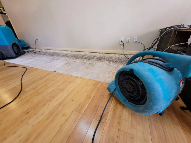 Professional Ceiling Water Damage Repair technician working in Watkins, MN