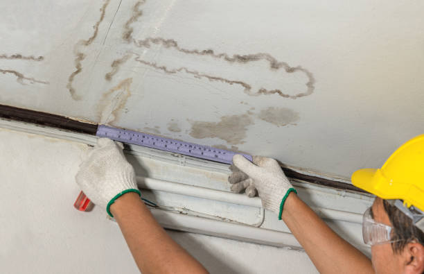 Affordable Ceiling Water Damage Repair solutions in Watkins, MN